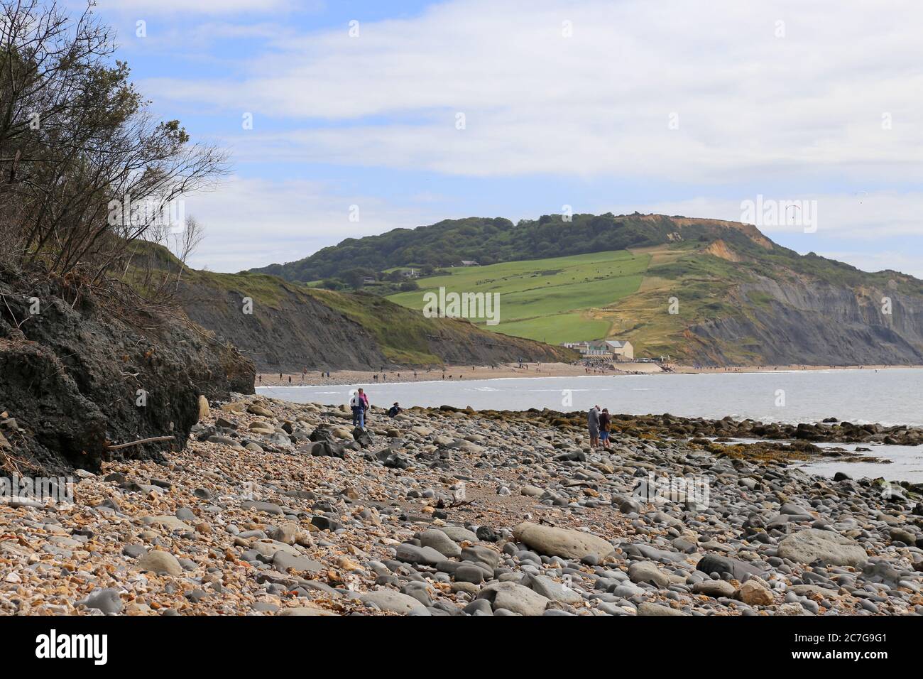 Fossil hunting at low tide between Lyme Regis and Charmouth, Dorset