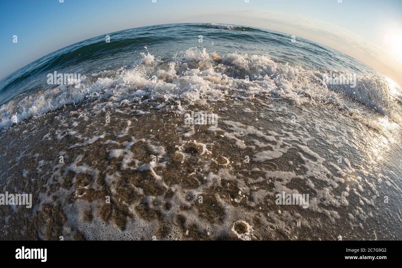 wave beach fish eye close up macro Stock Photo - Alamy