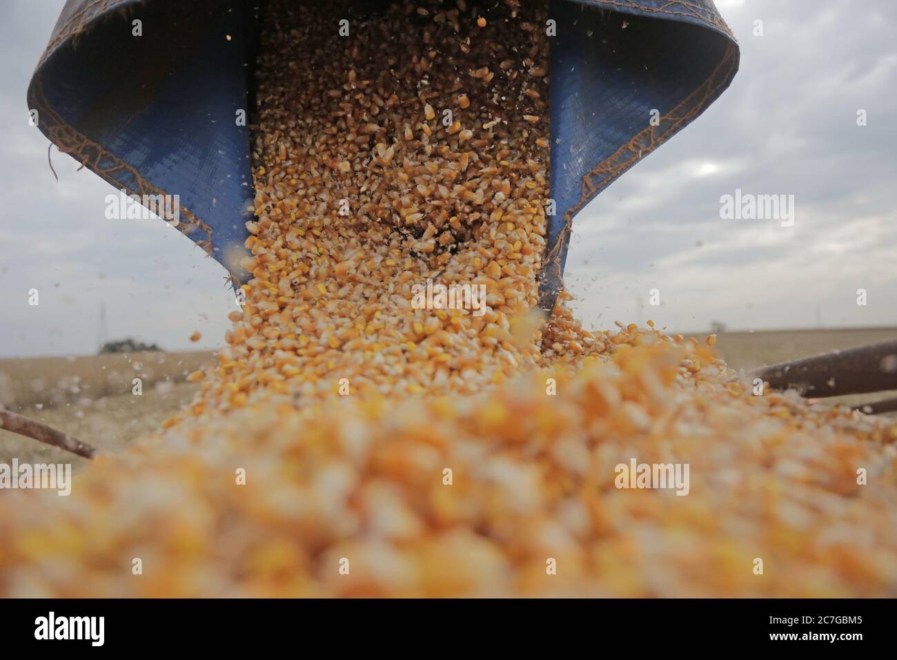 Cin Cin High Resolution Stock Photography And Images Alamy