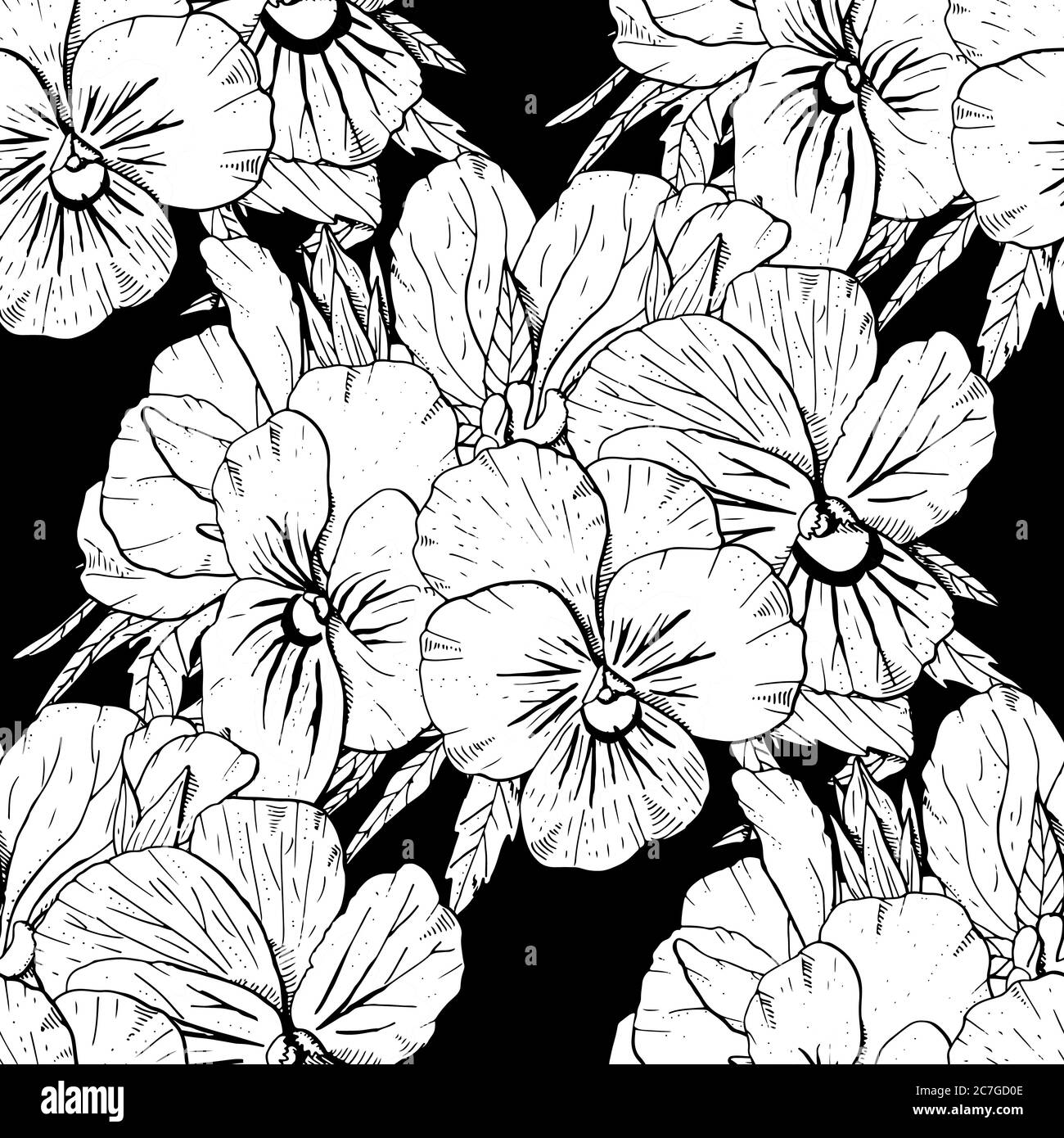 Monochrome floral seamless pattern with hand drawn pansy flowers on ...