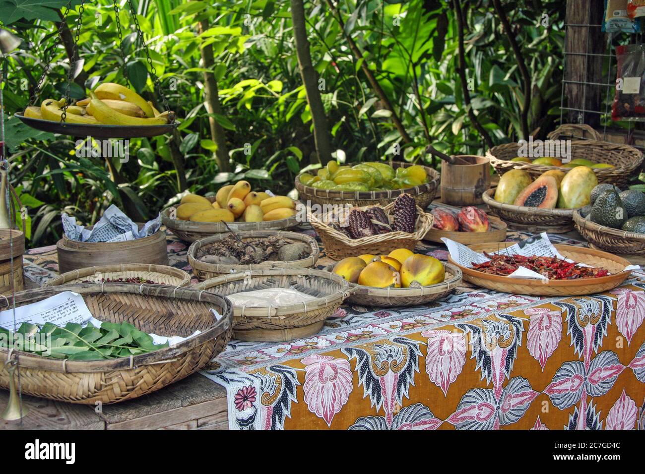 A display of tropical fruits in the Tropical biome at the Eden Project in Cornwall; A visitors and educational centre attracting visitors from all ove Stock Photo