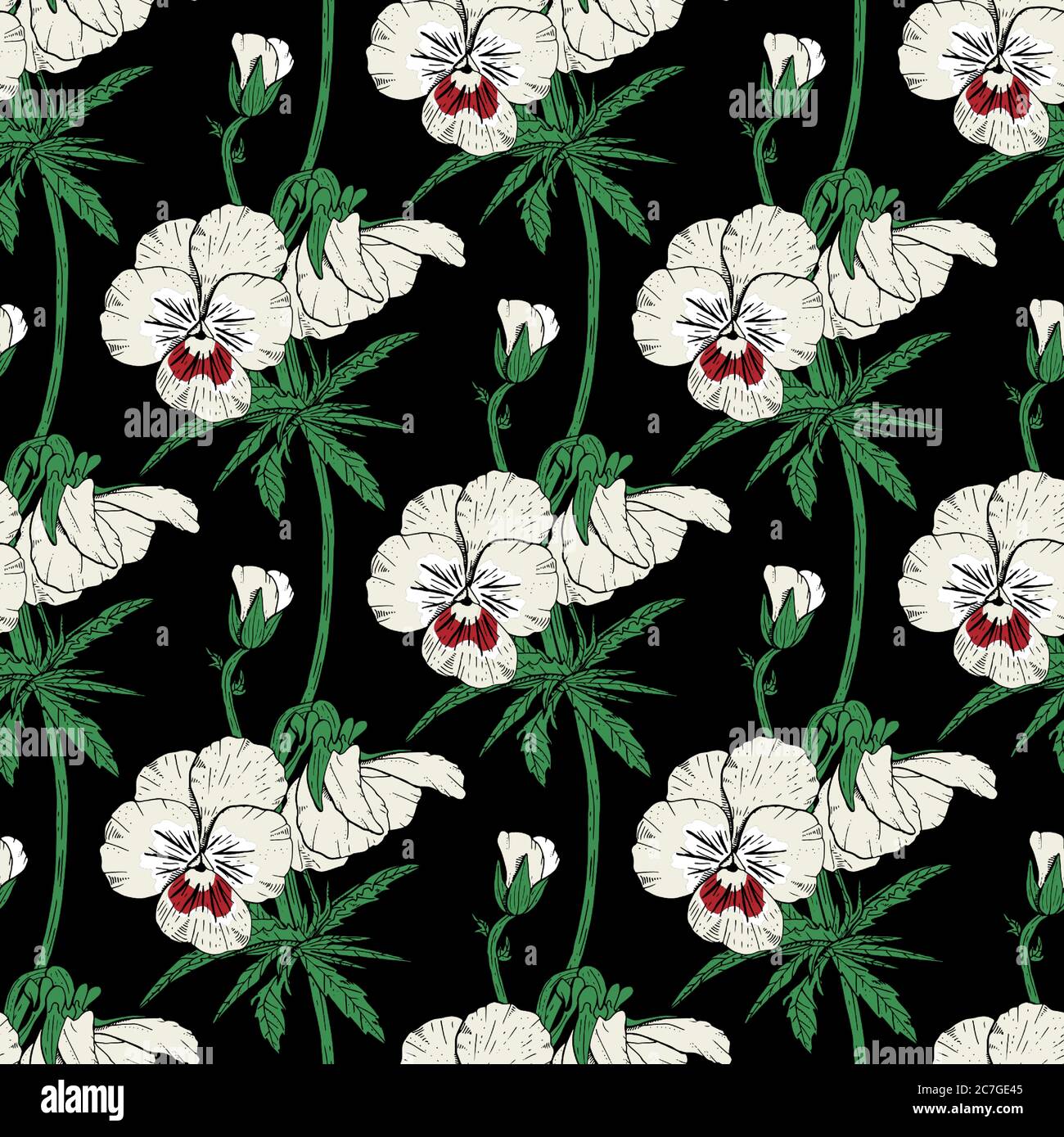 White floral seamless pattern with hand drawn pansy flowers on pink ...