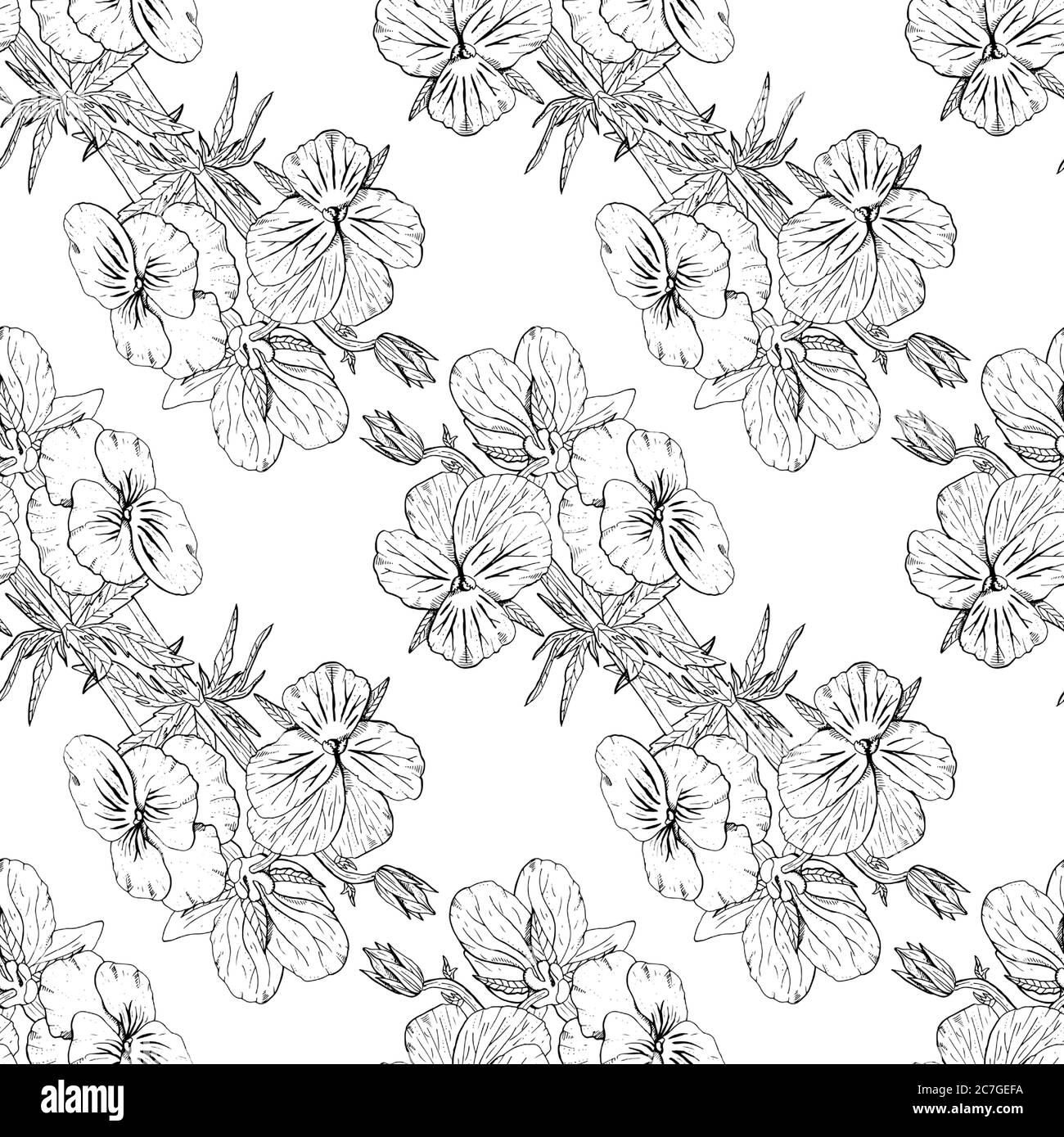 Monochrome floral seamless pattern with hand drawn pansy flowers on ...