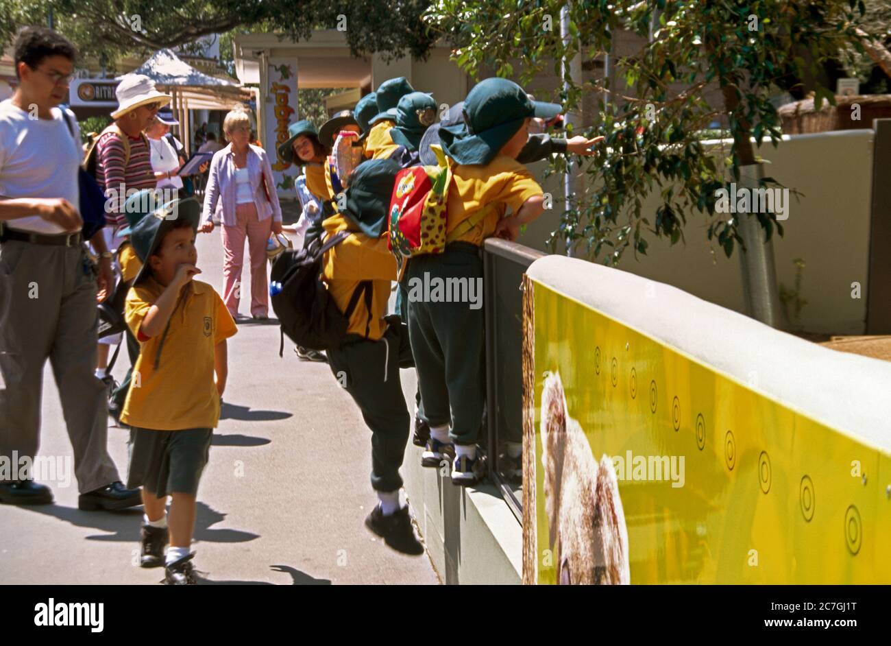 Sydney NSW Australia Taronga Zoo School Children On A School Outing Looking in the Koala Enclosure Stock Photo