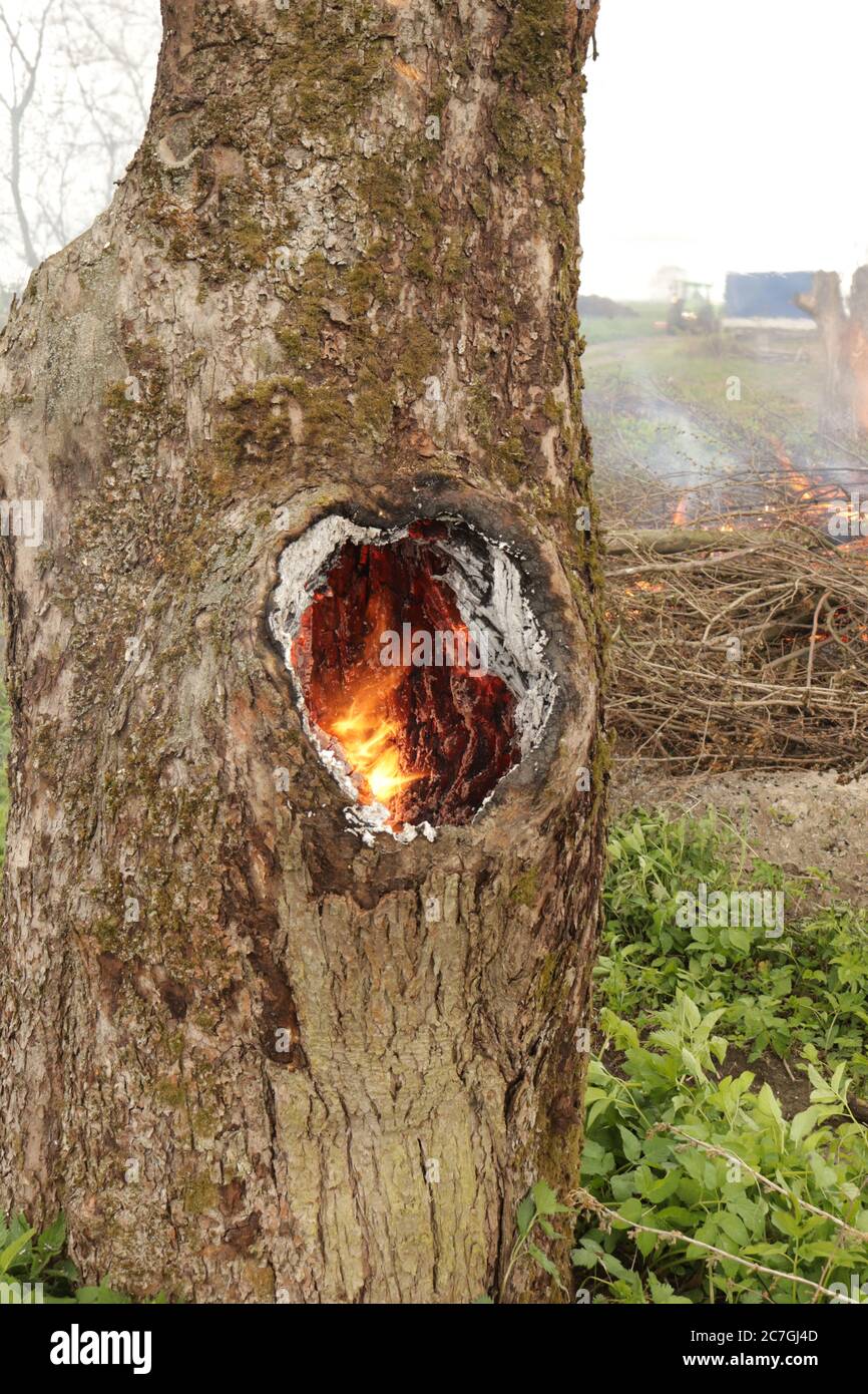 Spontaneous combustion hires stock photography and images Alamy