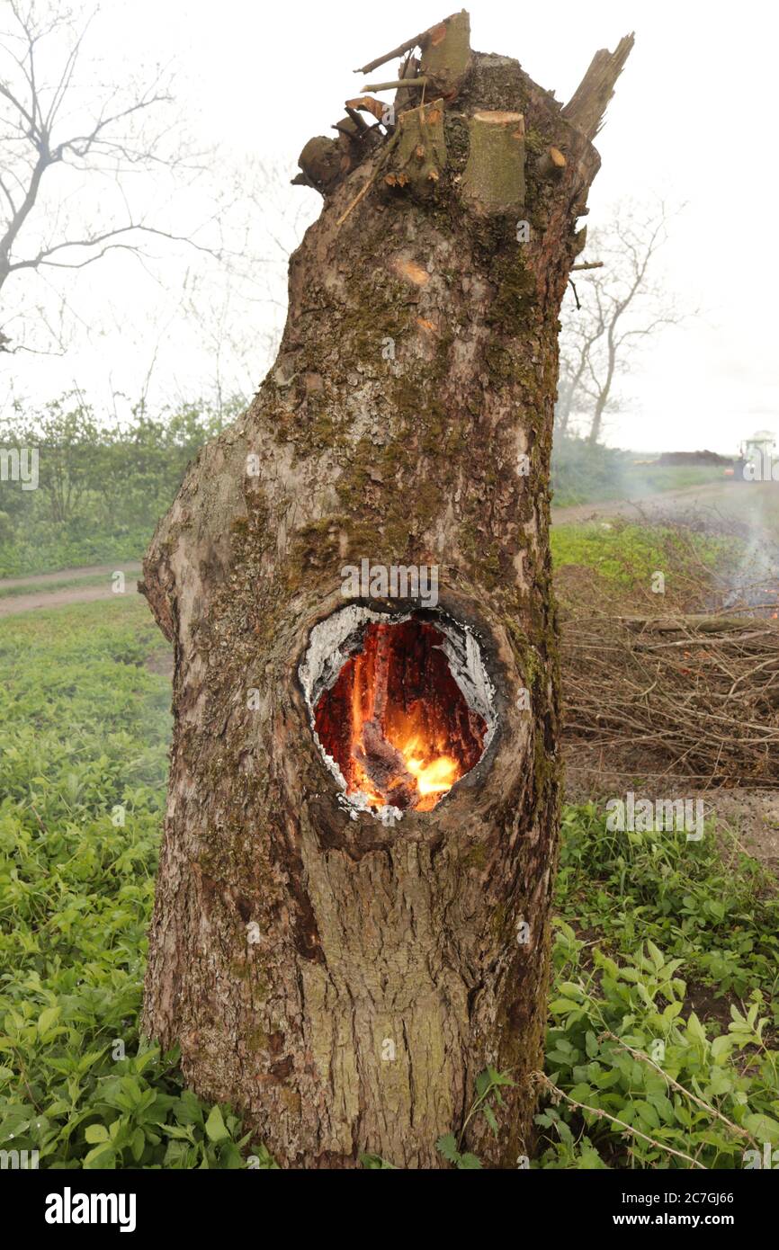 Spontaneous combustion hires stock photography and images Alamy