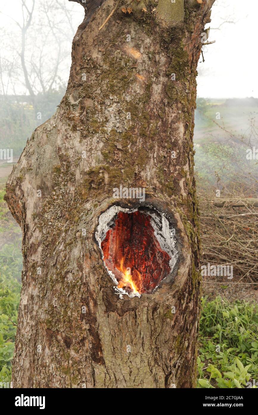 Spontaneous combustion hires stock photography and images Alamy