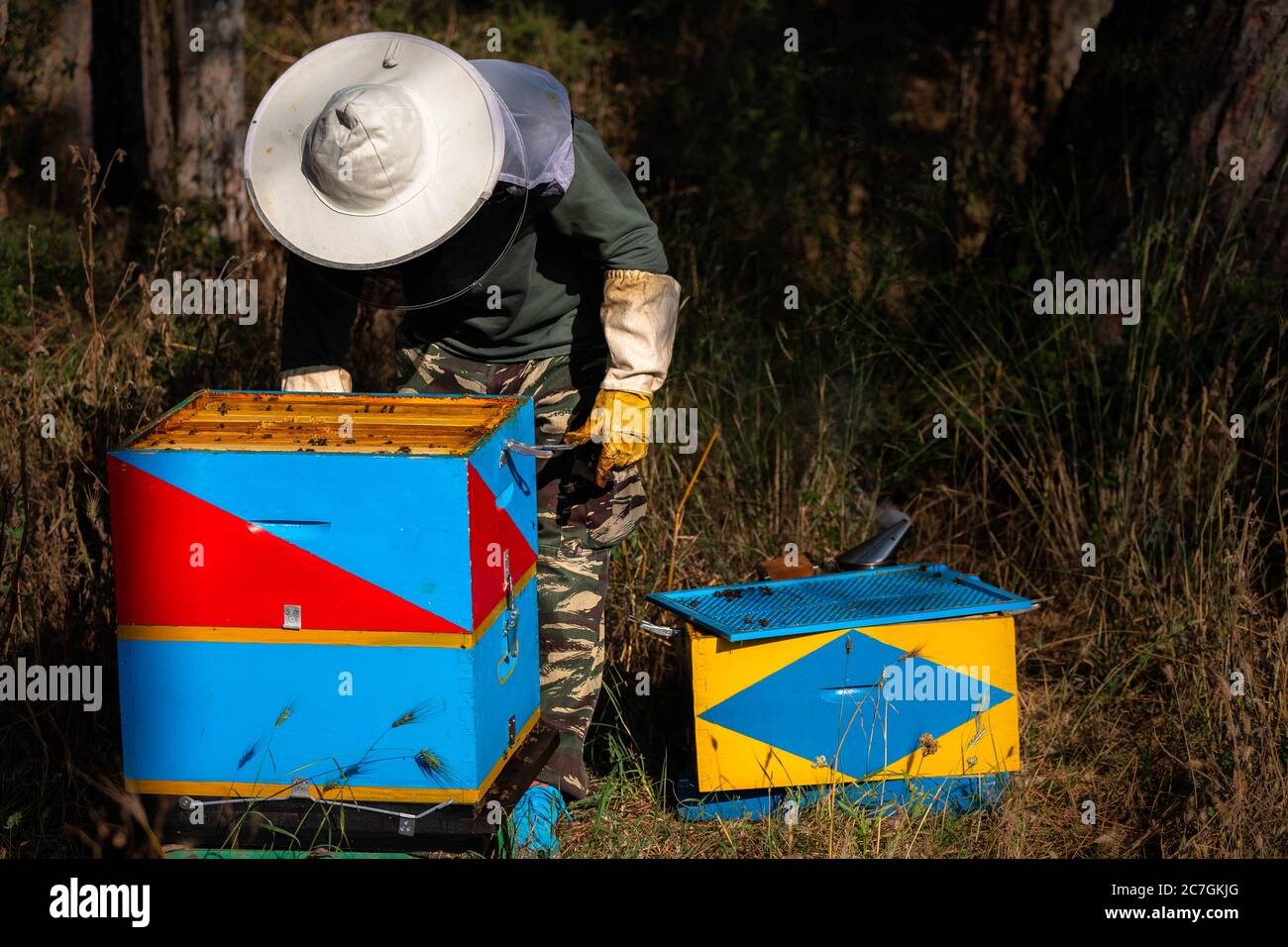Man covered bees hires stock photography and images Alamy