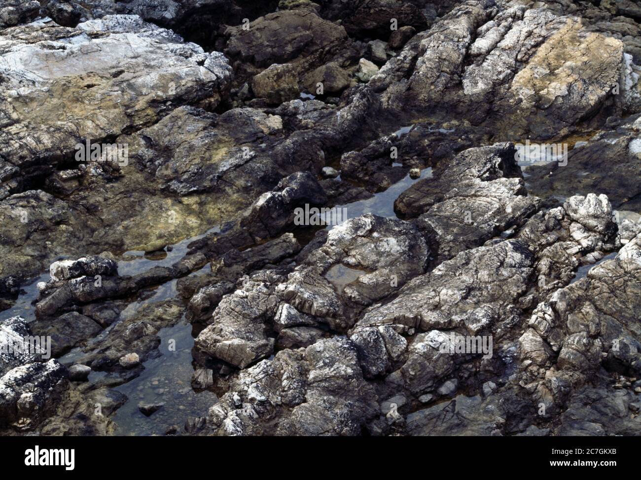 Asturias Spain Rock Pools In Deep Fissures Between Rocks Stock Photo