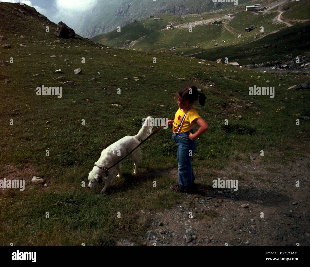 Girl walking a dog hi-res stock photography and images - Alamy