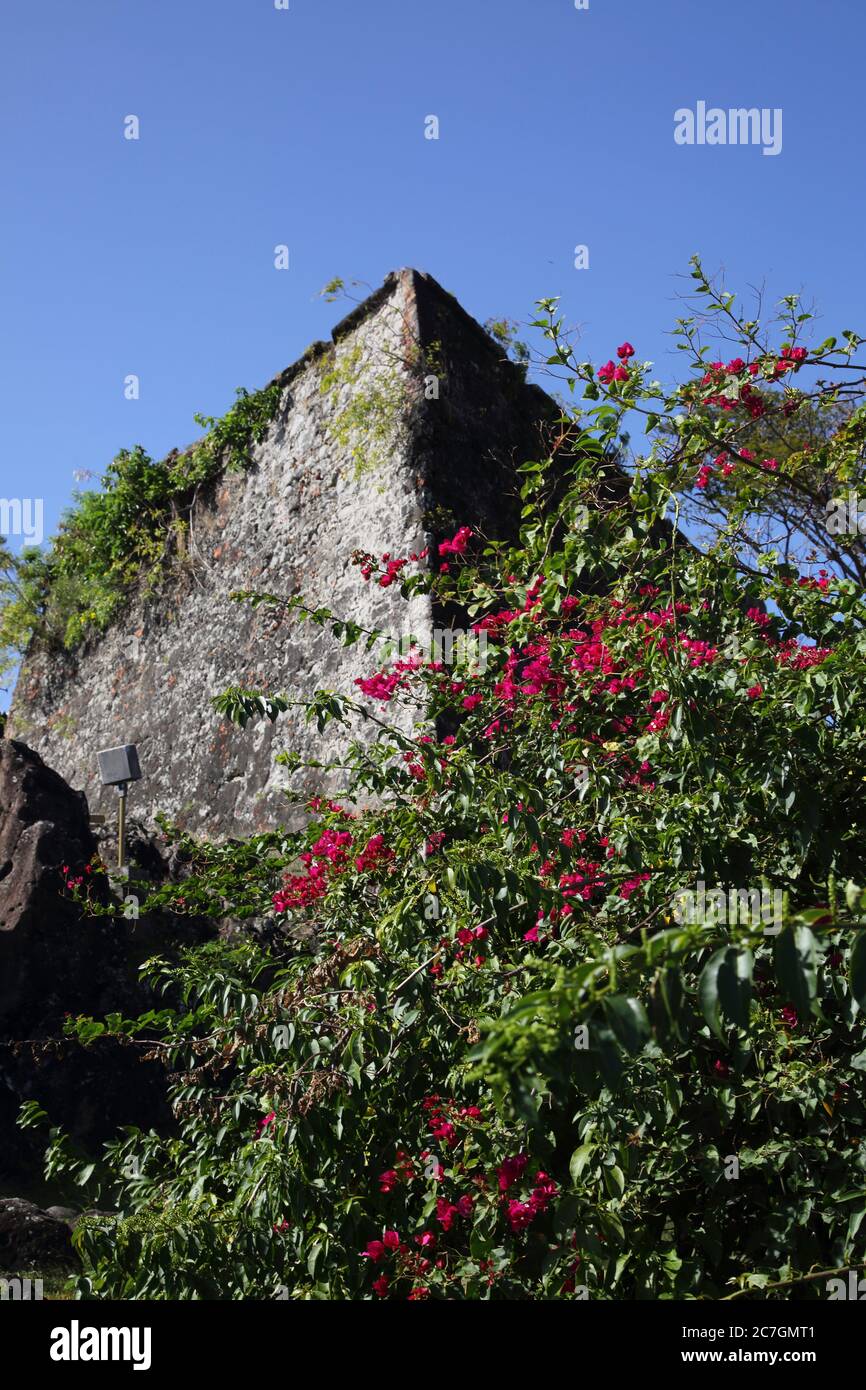 St George's Grenada Fort George Built 1705-1710 Bastion Tracer Fort bougainvillea Stock Photo