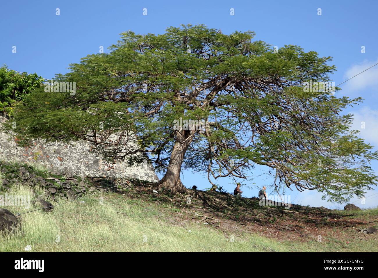 Fort George Grenada Tourists by Shade Tree Stock Photo