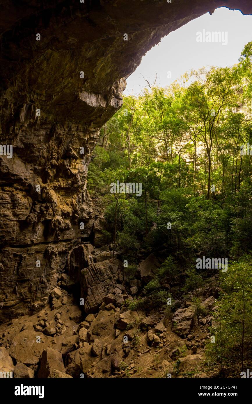 Ancient Bat cave in the Ankarana Special Reserve, Ankarana, Madagascar