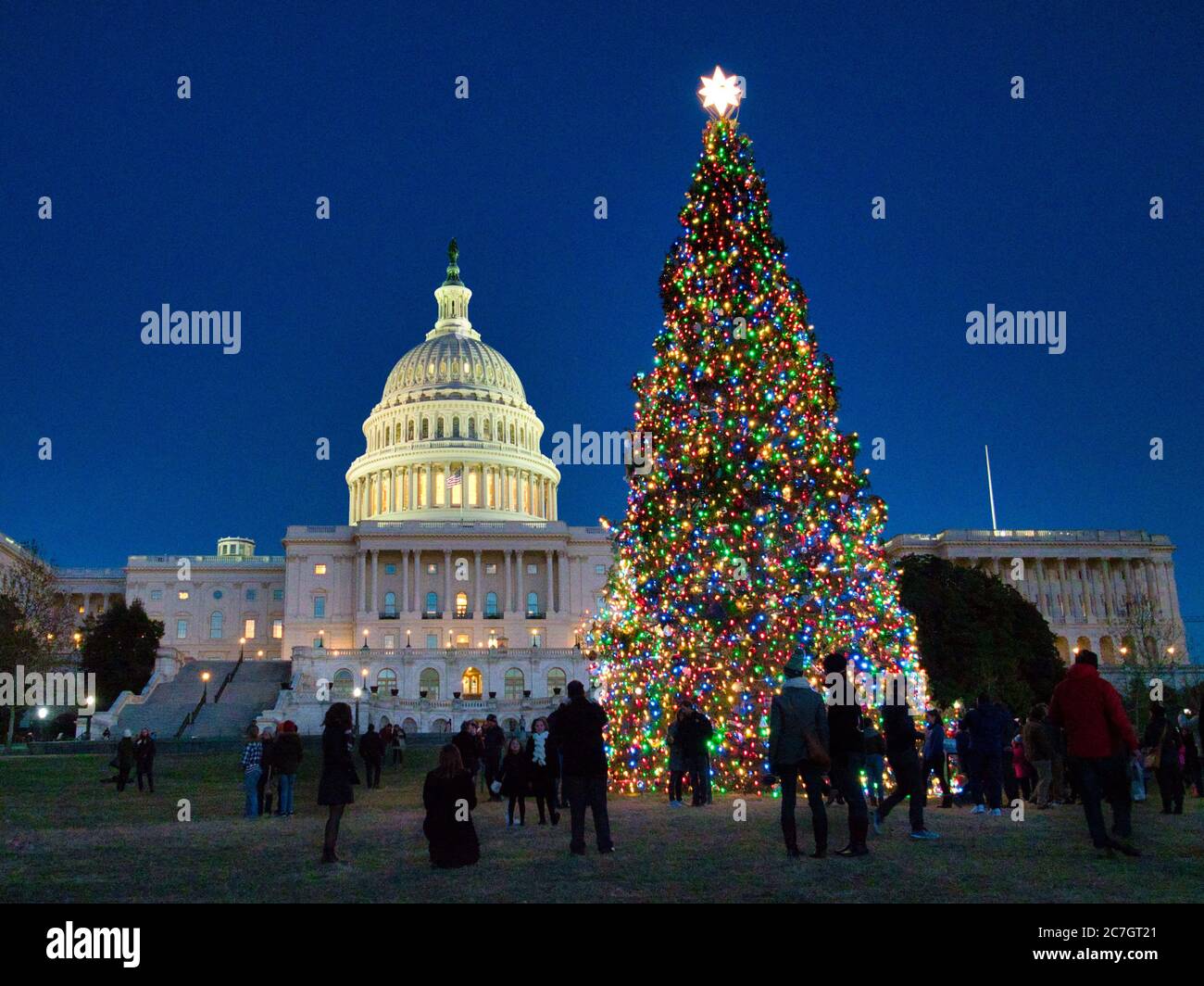 United States Capitol with the Christmas tree in front of it surrounded