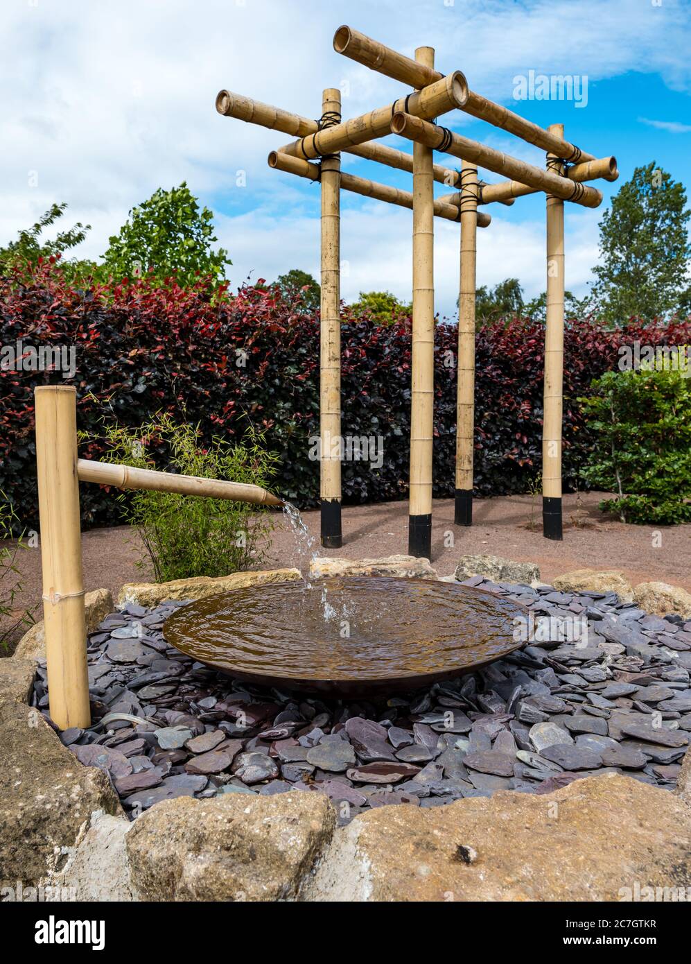 Fountain in sensory garden with beech hedge, Amisfield Walled Garden, Haddington, East Lothian, Scotland, UK Stock Photo