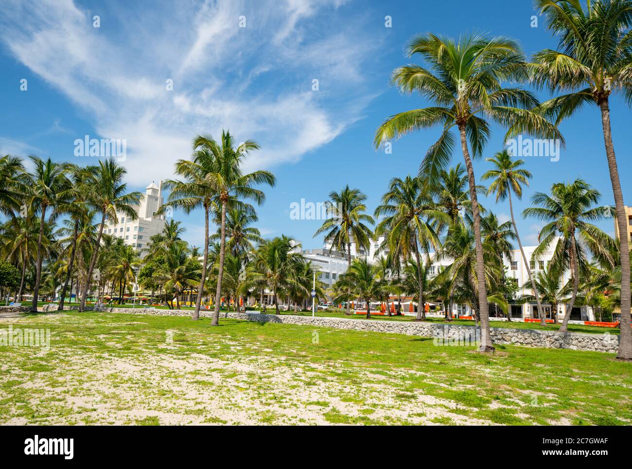 Colorful palm trees Miami Beach Lummus Park Stock Photo
