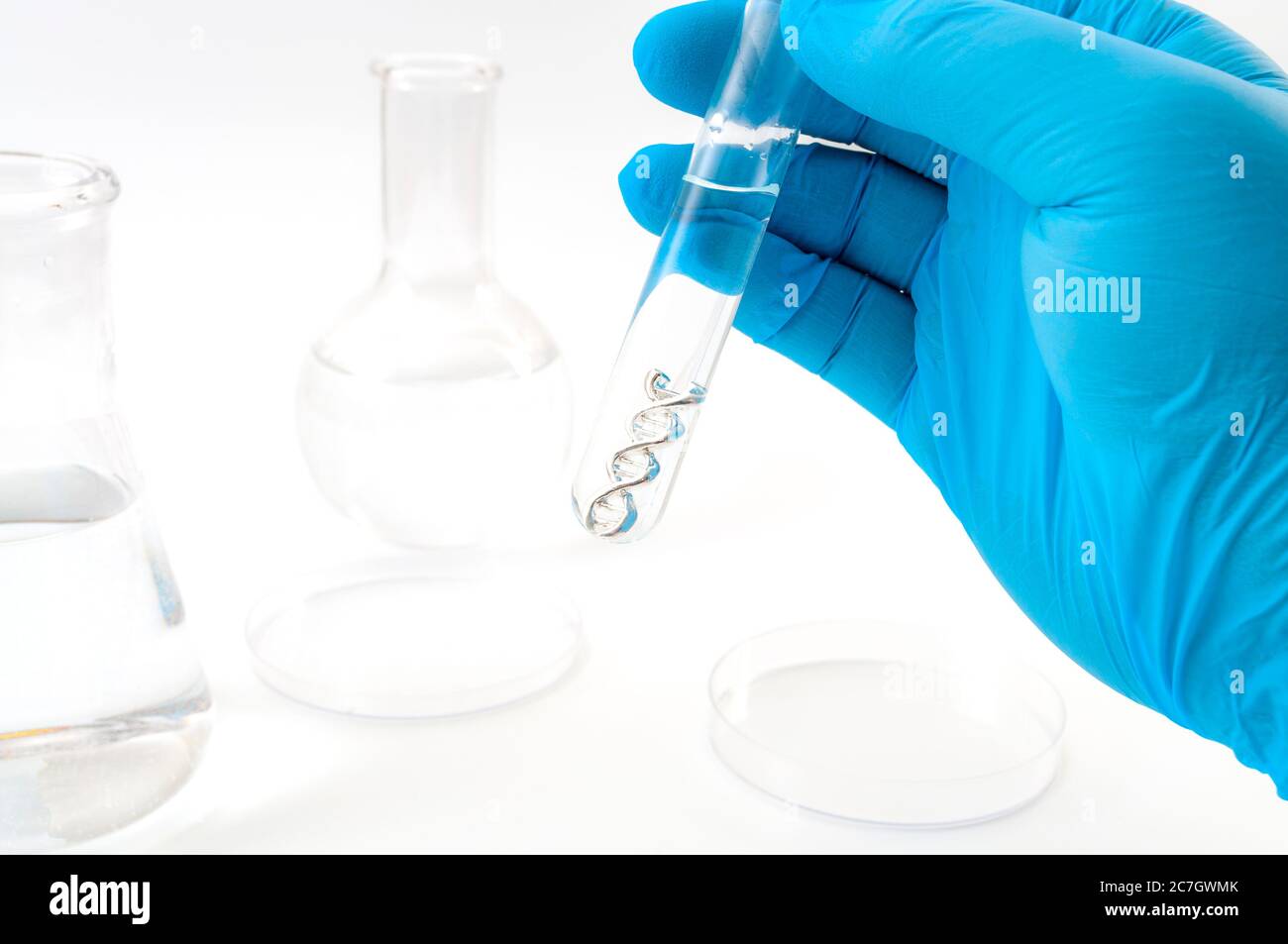 DNA testing, lab experiment and genetic research concept theme with a scientist holding a double helix molecule in a test tube with blue latex gloves Stock Photo