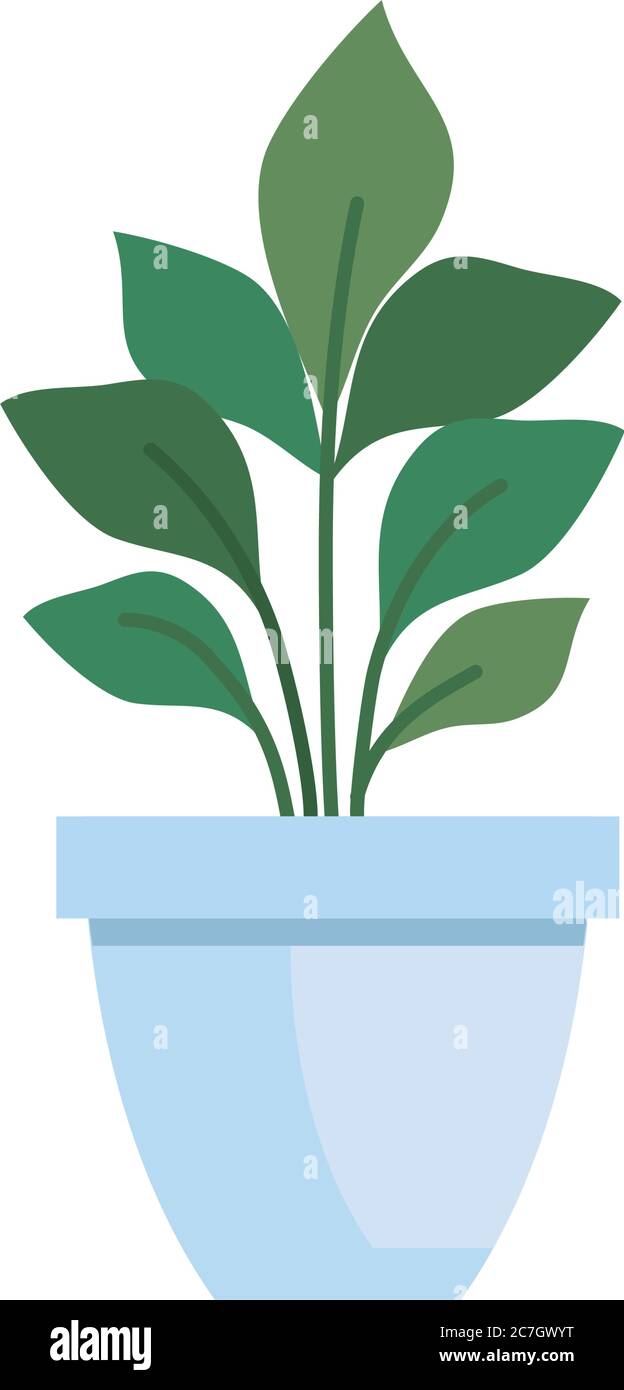 house pot plant on white background Stock Vector Image & Art - Alamy