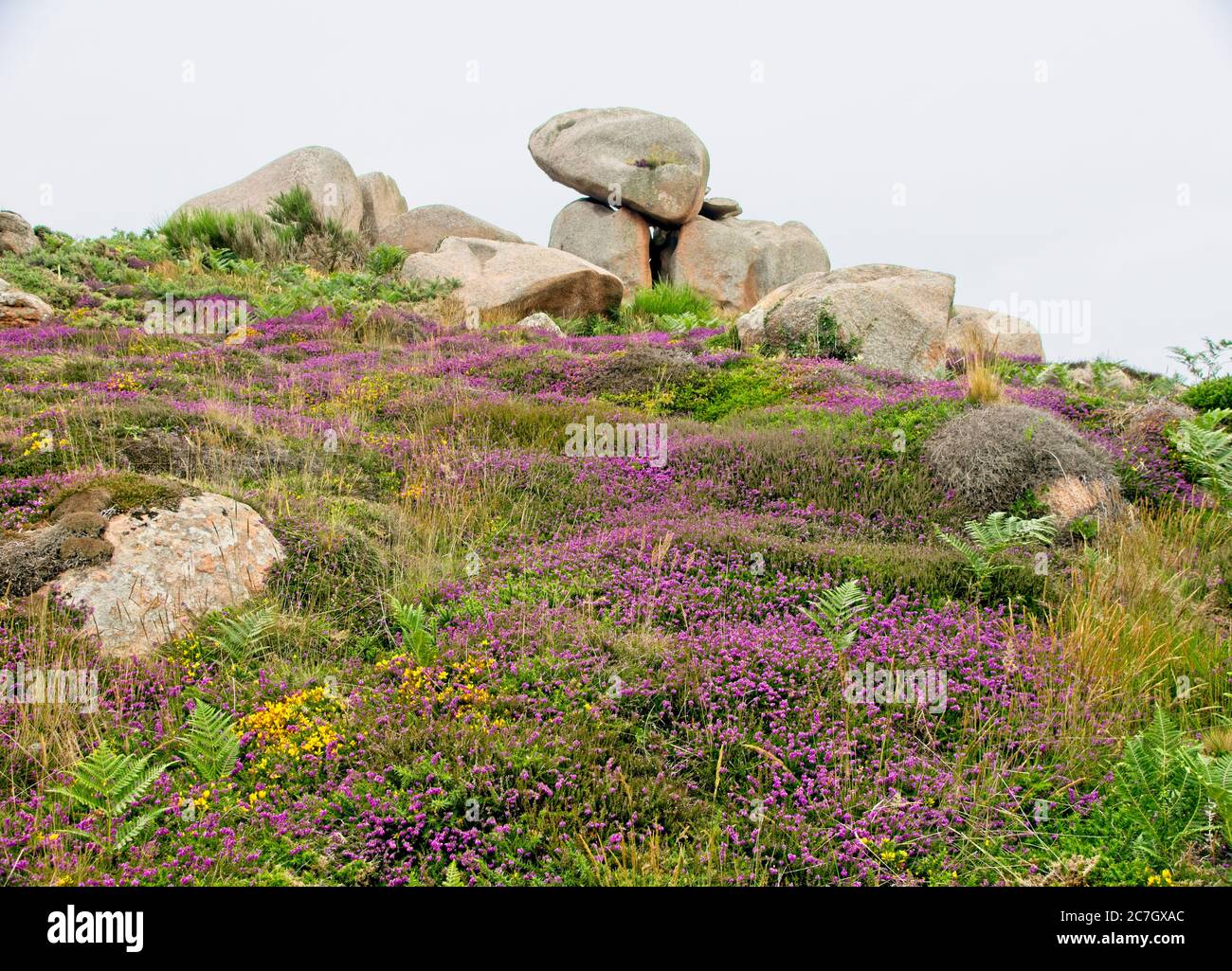 Big boulders at Côtes-d'Armor coast in Bretagne France Stock Photo