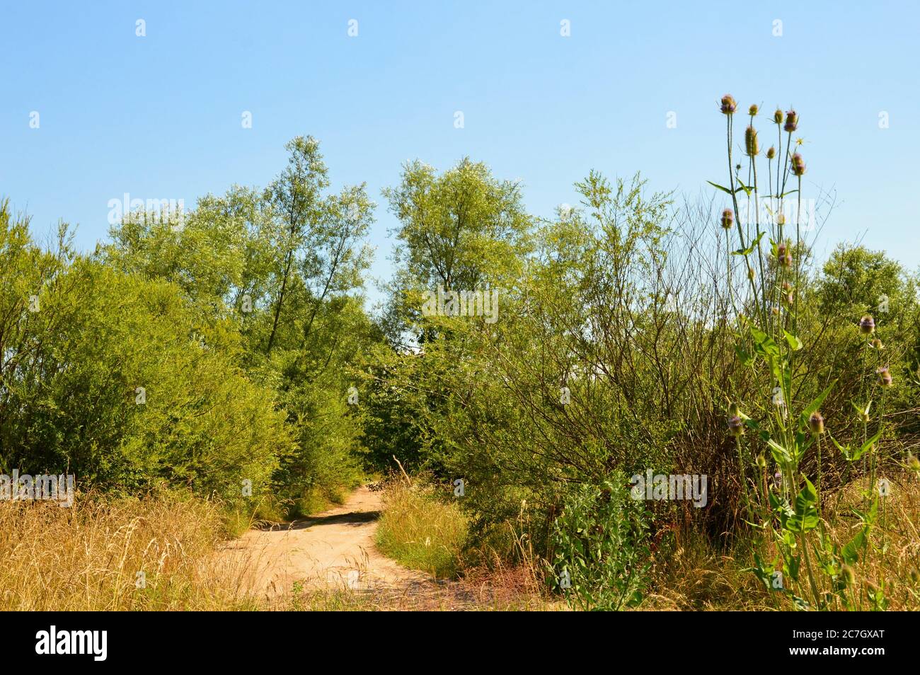 Still life with on bootle of heineken beer Stock Photo - Alamy