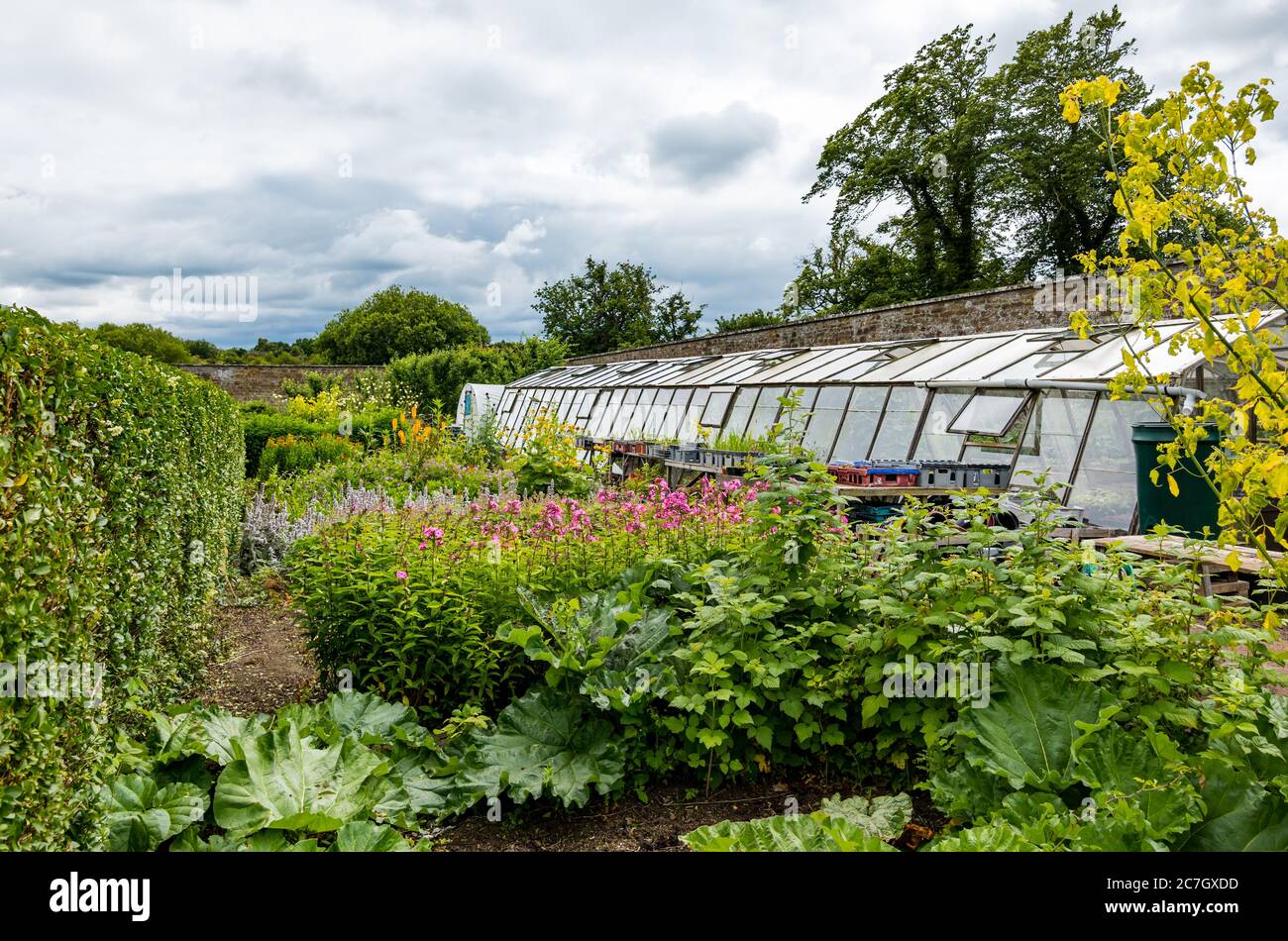 Flowerbed and greenhouse Amisfield Walled Garden, Haddington, East Lothian, Scotland, UK Stock Photo