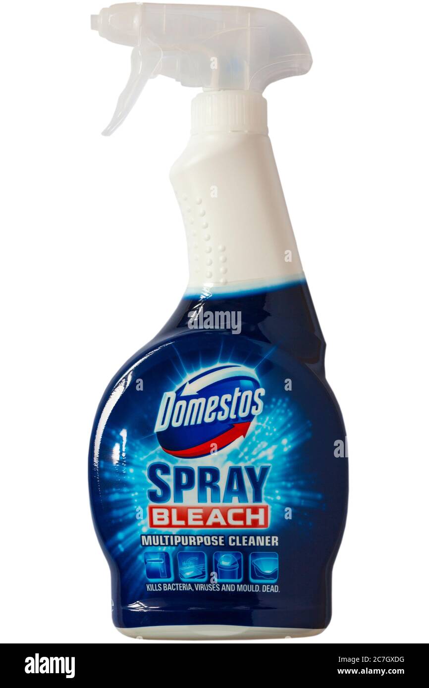 Spray bottle of Domestos Spray bleach multipurpose cleaner isolated on  white background - kills bacteria viruses and mould dead Stock Photo - Alamy