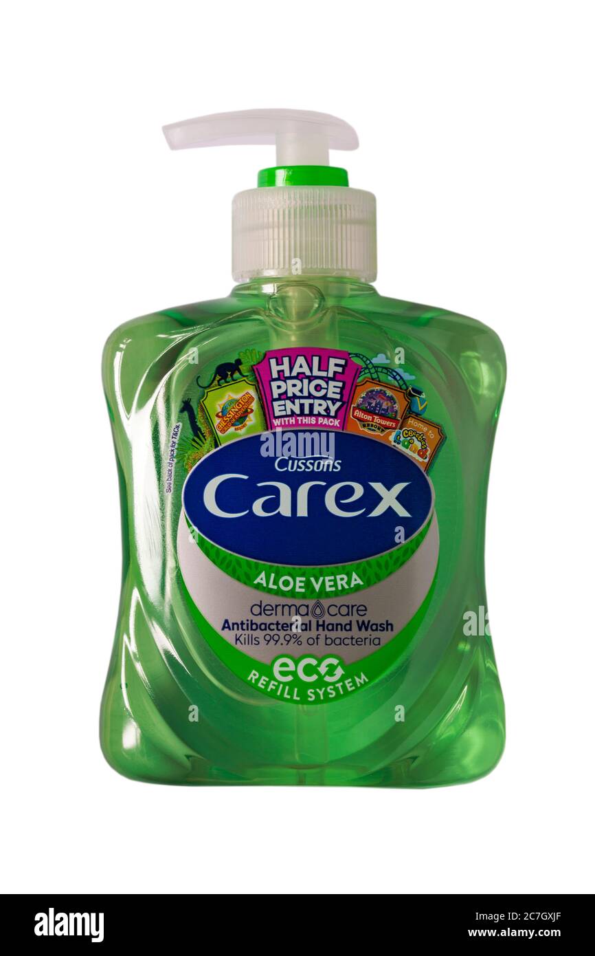 Carex Antibacterial Hand Wash atelieryuwa.ciao.jp