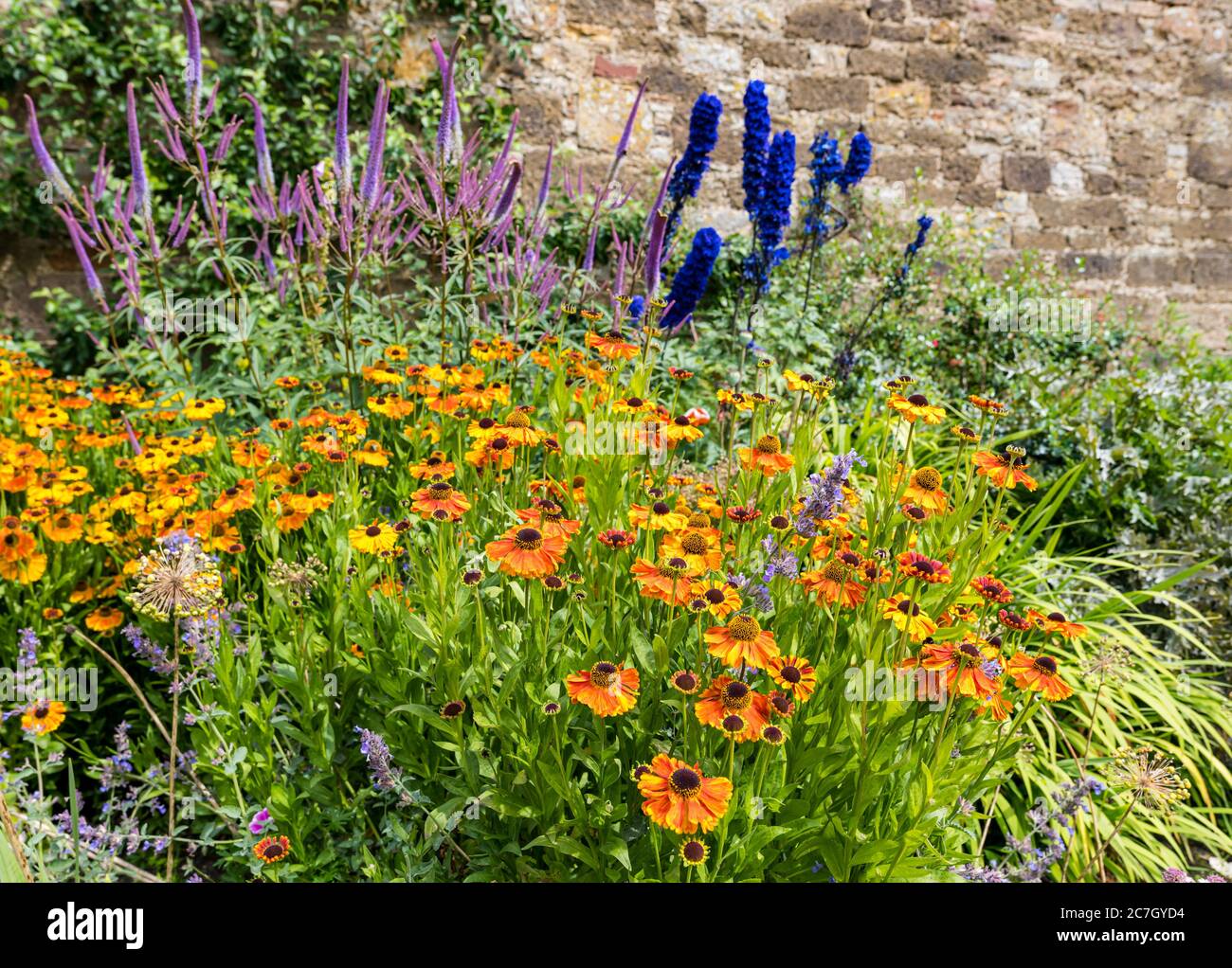 Colorful flower border hi-res stock photography and images - Alamy