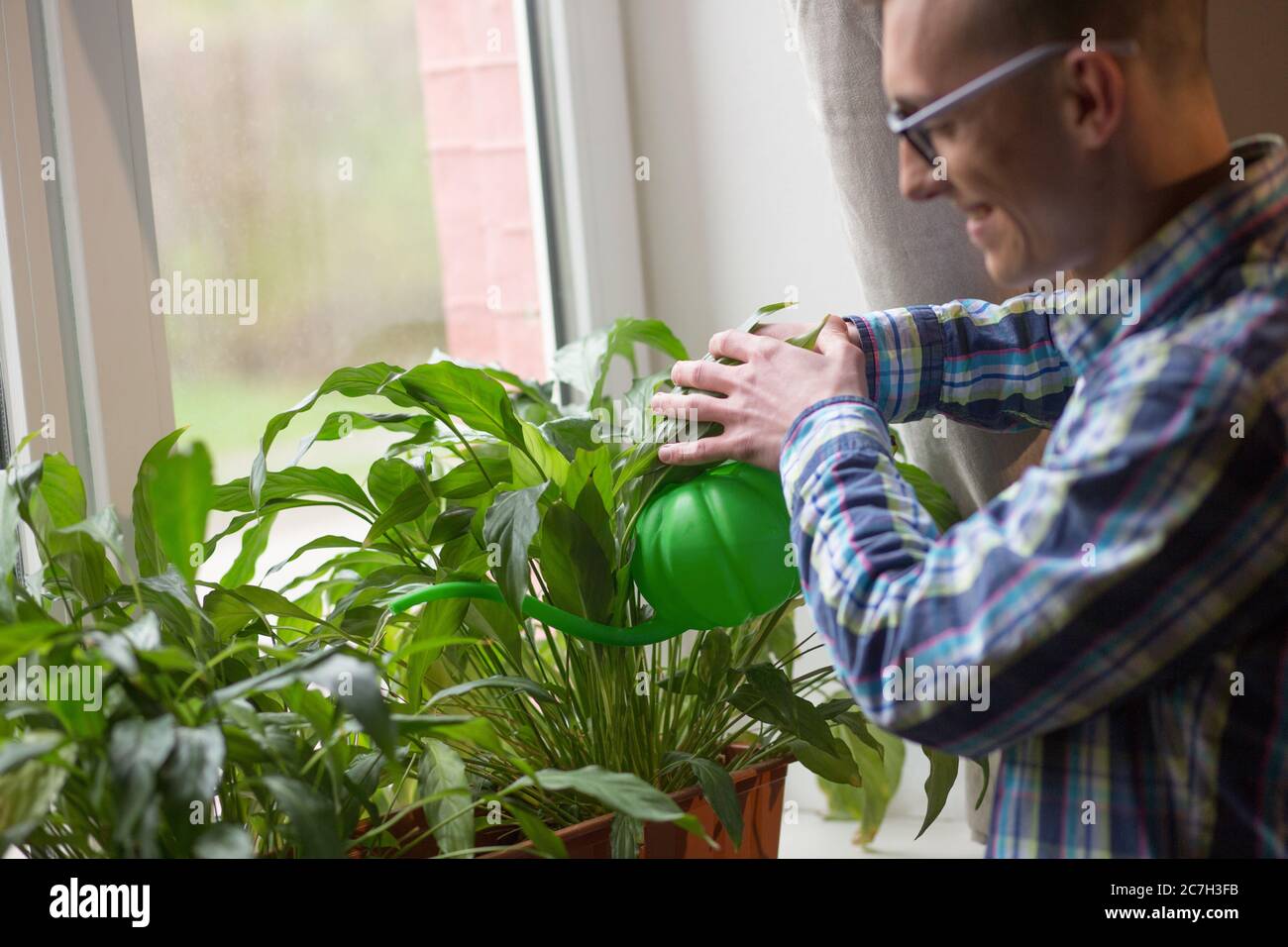 Freelancer taking care of home plants at working space at home. Man watering flowers from plastic watering can standing by window in sunny day. Side Stock Photo