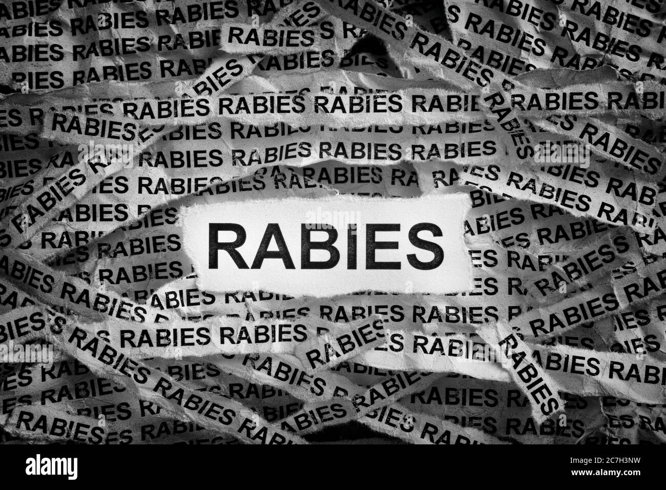 Rabies. Torn pieces of paper with the word Rabies. Concept Image. Black and white. Close up. Stock Photo