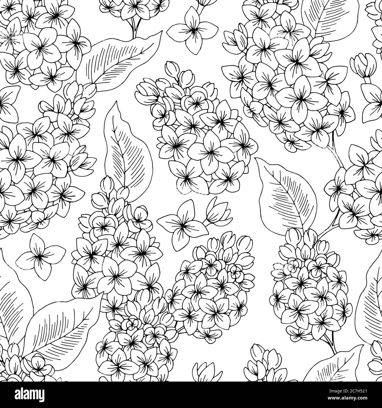 Lilac flower graphic black white seamless pattern background sketch illustration vector Stock Vector