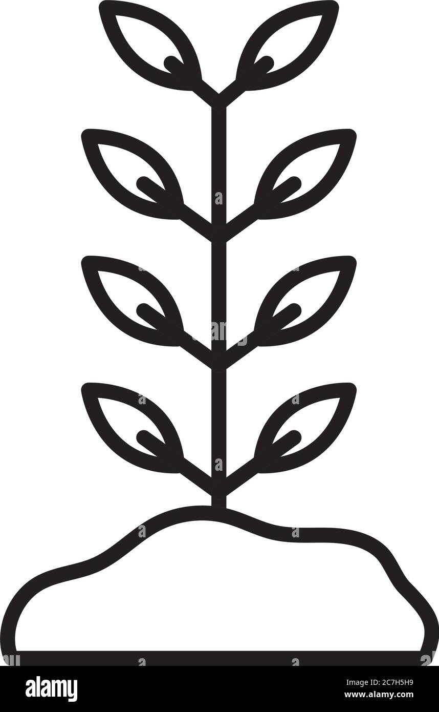 Plant on earth line style icon design of Floral nature garden ornament ...
