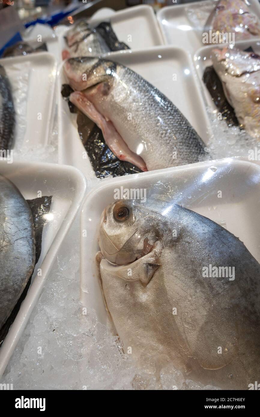 Pompano fish hires stock photography and images Alamy