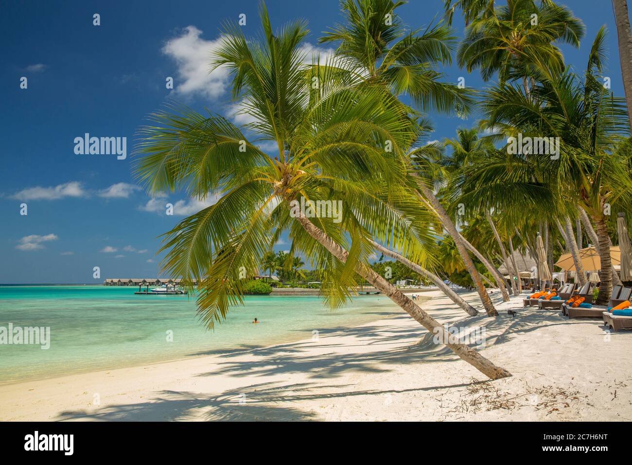 Maldives, South Male Atoll, Shangri-La's Villingili Resort & Spa, palm beach, sea, detail, Stock Photo