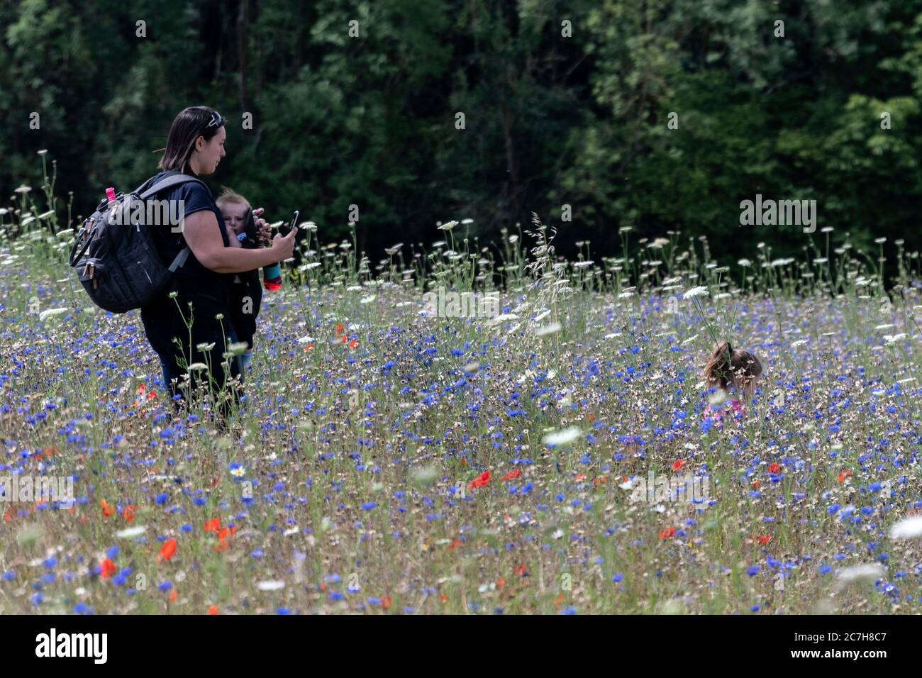 Child in the field hi-res stock photography and images - Alamy