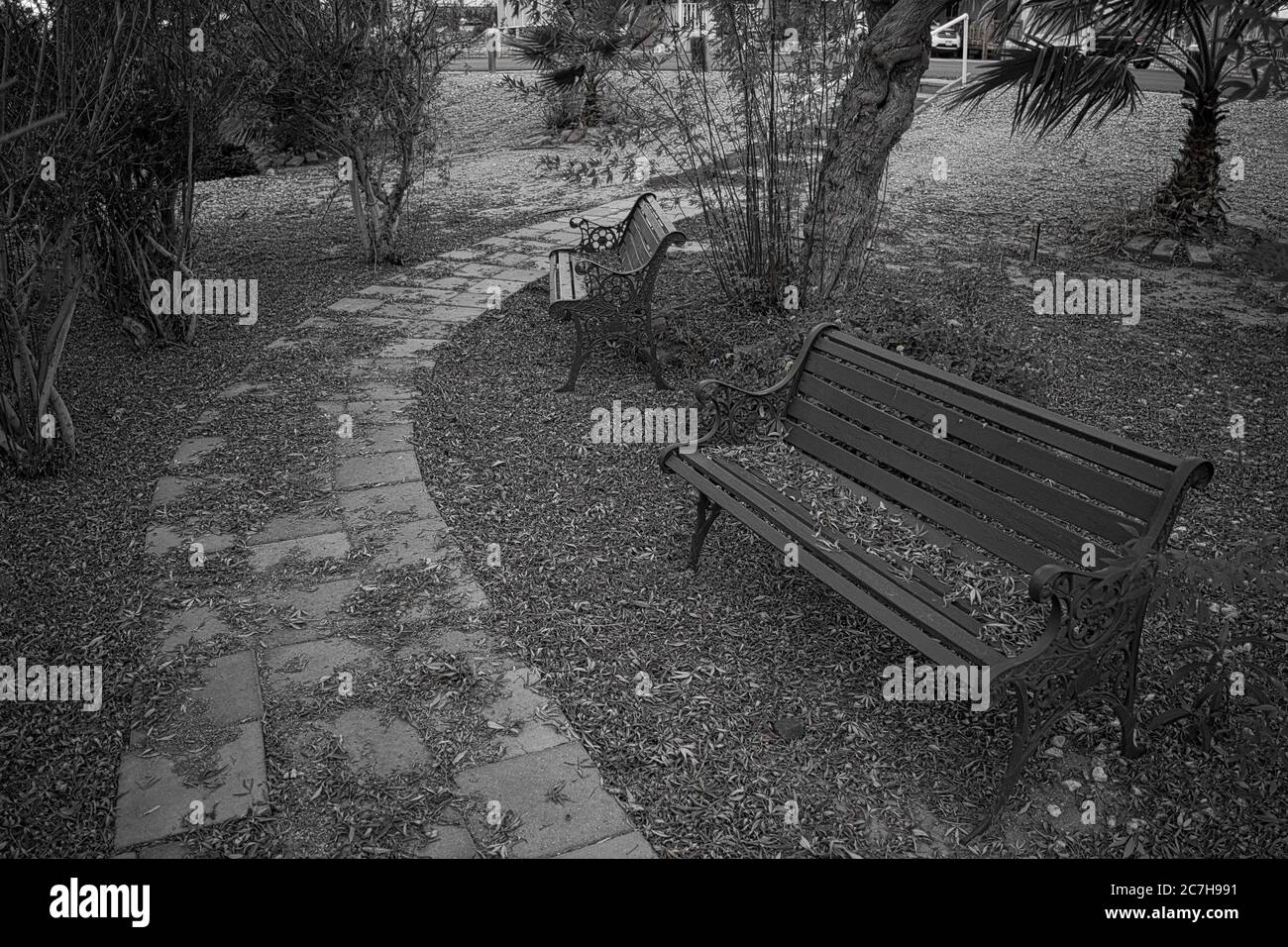 Grayscale shot of a pathway in the park near benches and trees in Yuma