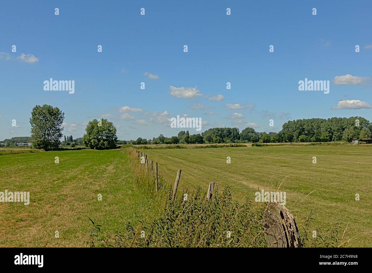 Meadows with trees under a clear blue sky in Kalkense Meersen nature ...