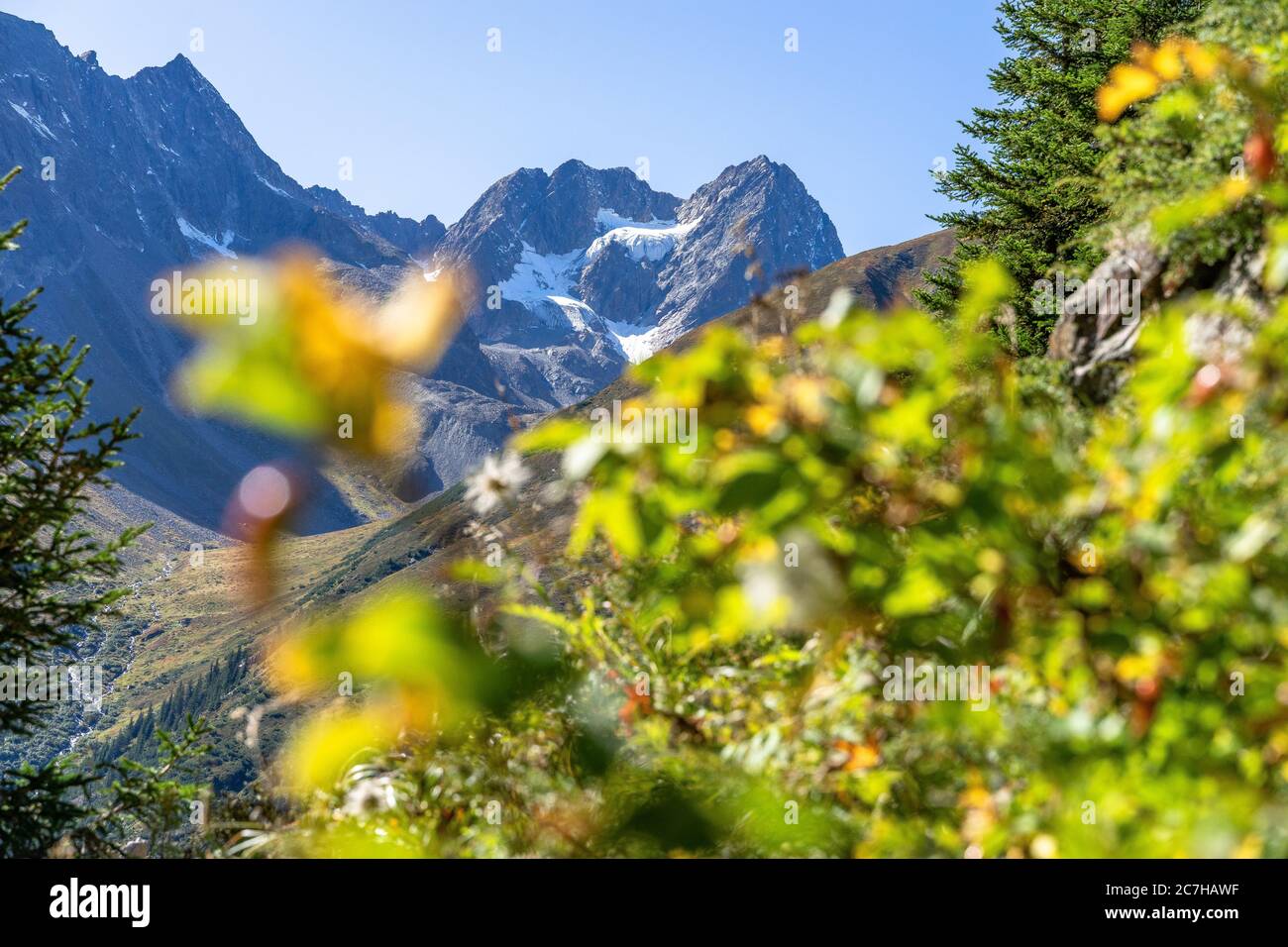 Watzespitze High Resolution Stock Photography And Images Alamy