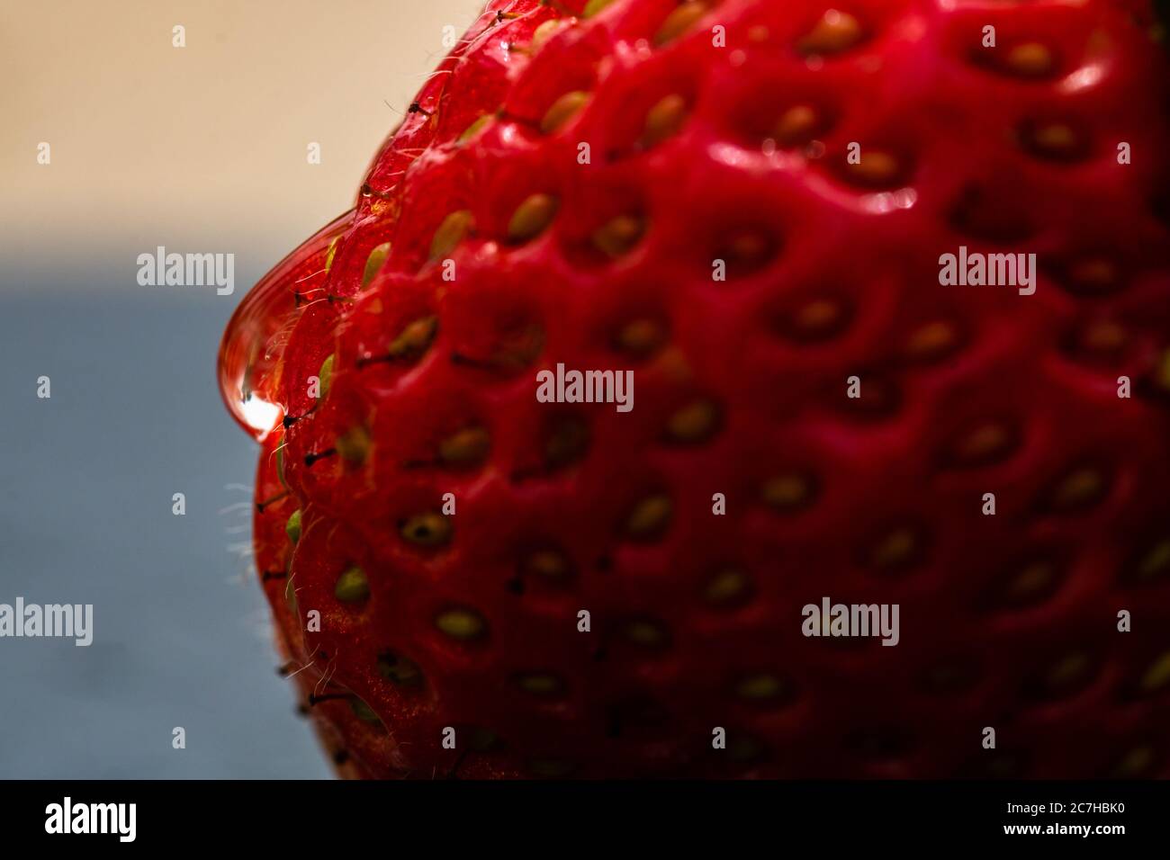 Close up of fresh strawberry showing seeds achenes. Water drop on fresh ...