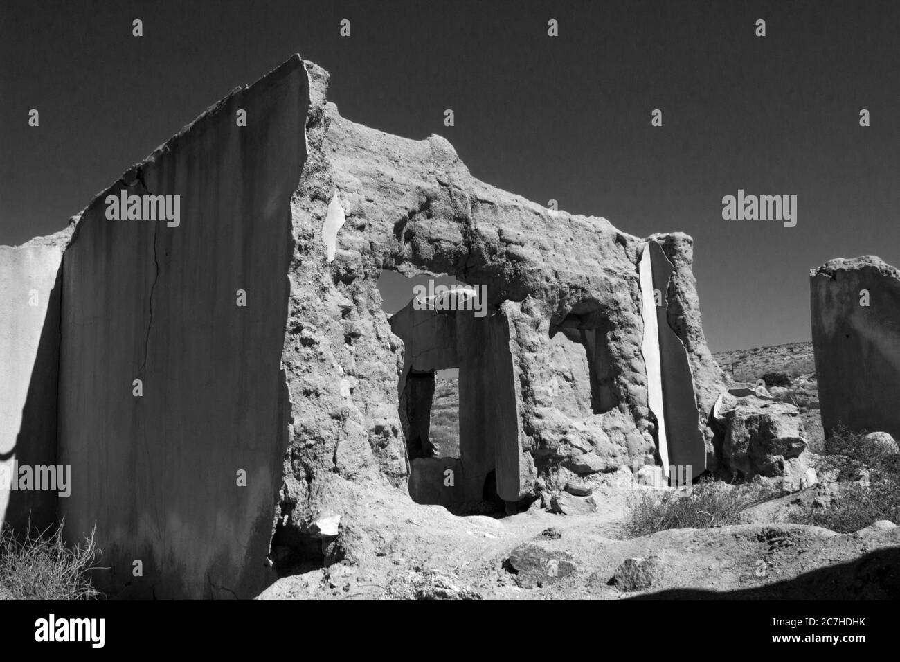 Skilpad south africa Black and White Stock Photos & Images - Alamy