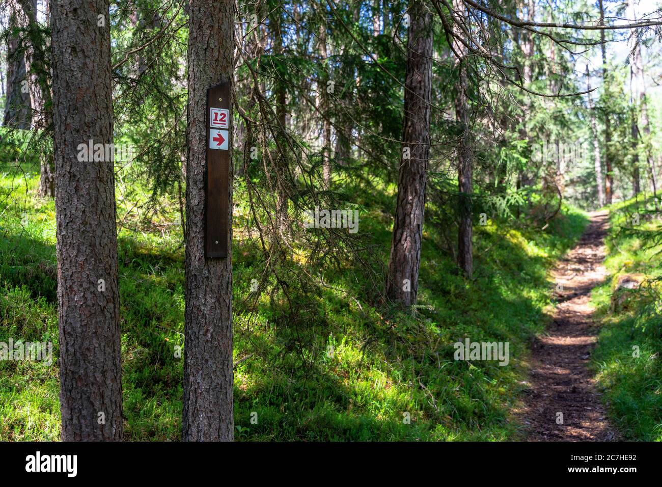 Europe, Austria, Tyrol, Ötztal Alps, Ötztal, path marking of the Ötztaler Urweg on a tree in the mountain forest between Sautens and Roppen Stock Photo