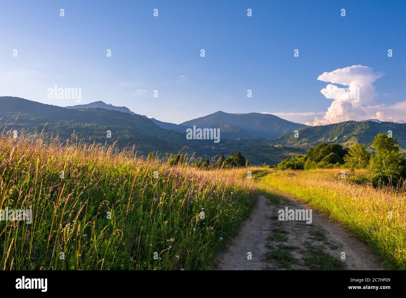 Beautiful rural landscape in summer light Stock Photo - Alamy
