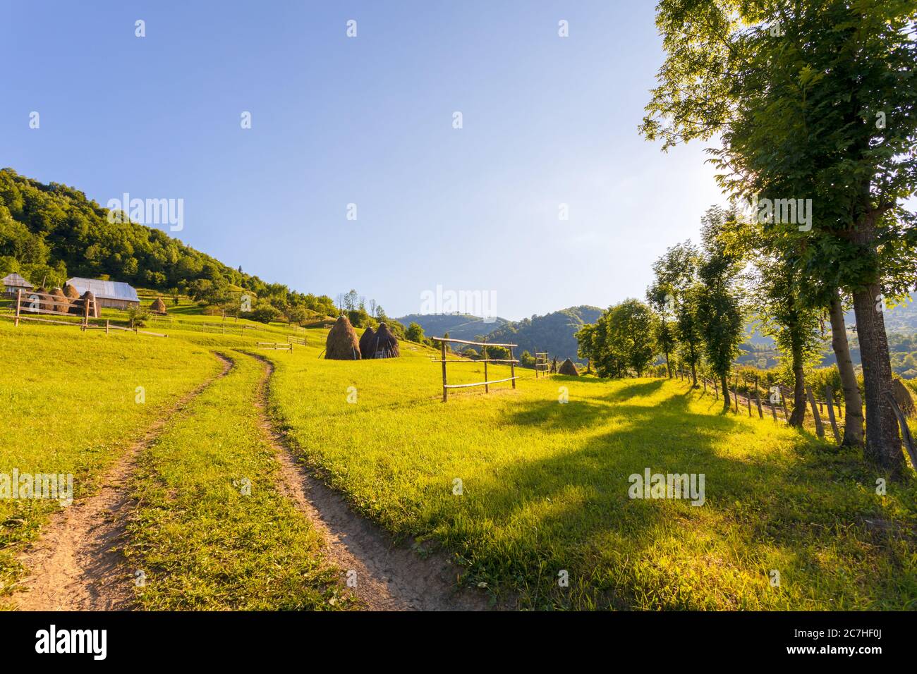 Beautiful rural landscape in summer light Stock Photo - Alamy