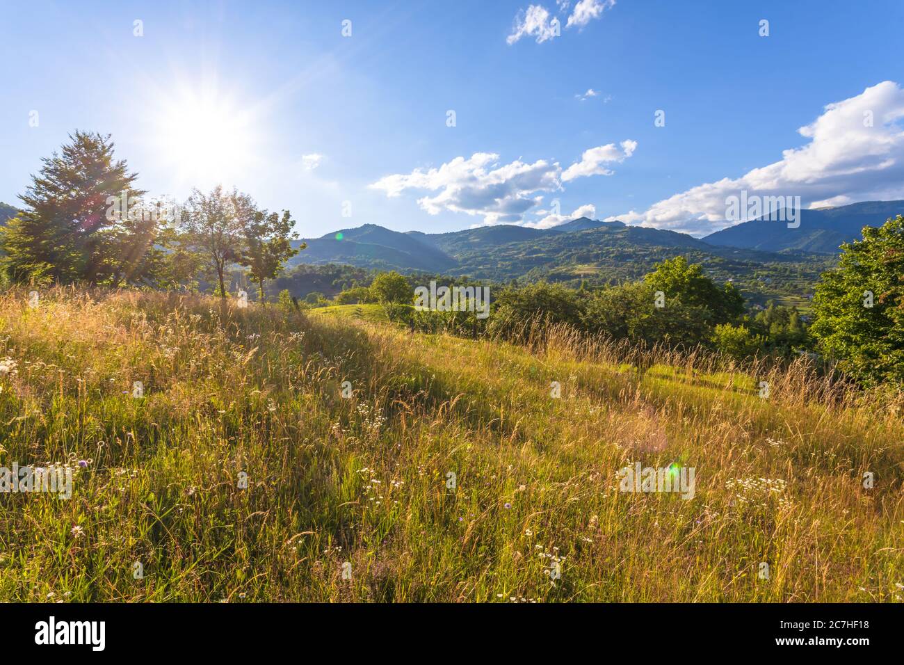 Beautiful rural landscape in summer light Stock Photo - Alamy