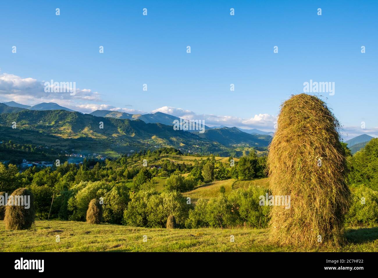 Beautiful rural landscape in summer light Stock Photo - Alamy