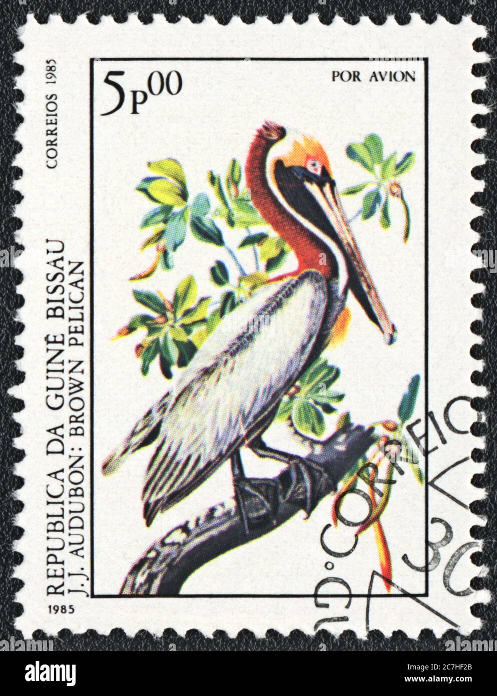 Postage stamp.  Brown pelican (Pelecanus occidentalis), from series,  Guinea Bissau, 1985 Stock Photo