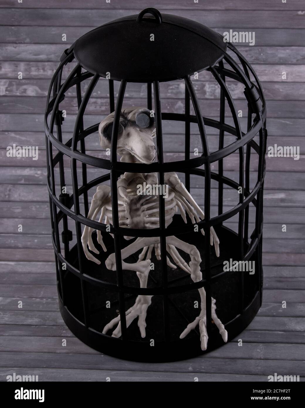 Halloween skeleton bird in a cage on wooden background Stock Photo