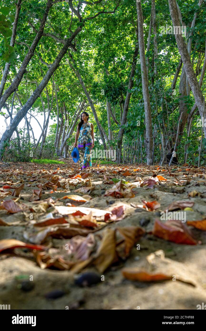 America, Caribbean, Greater Antilles, Dominican Republic, Cabarete, woman walks through a shady forest near the beach towards the Natura Cabana Boutique Hotel & Spa Stock Photo