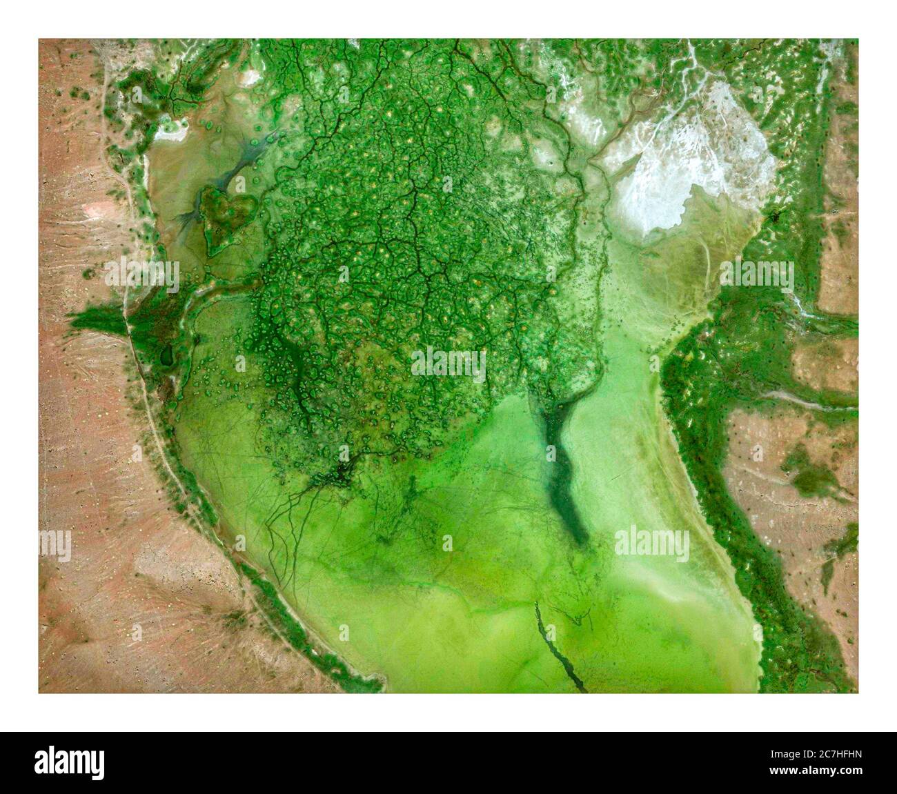 Satellite view of Bolivia, green lake between arid lands and mountains. Nature and aerial view. Global warming, climate change Stock Photo