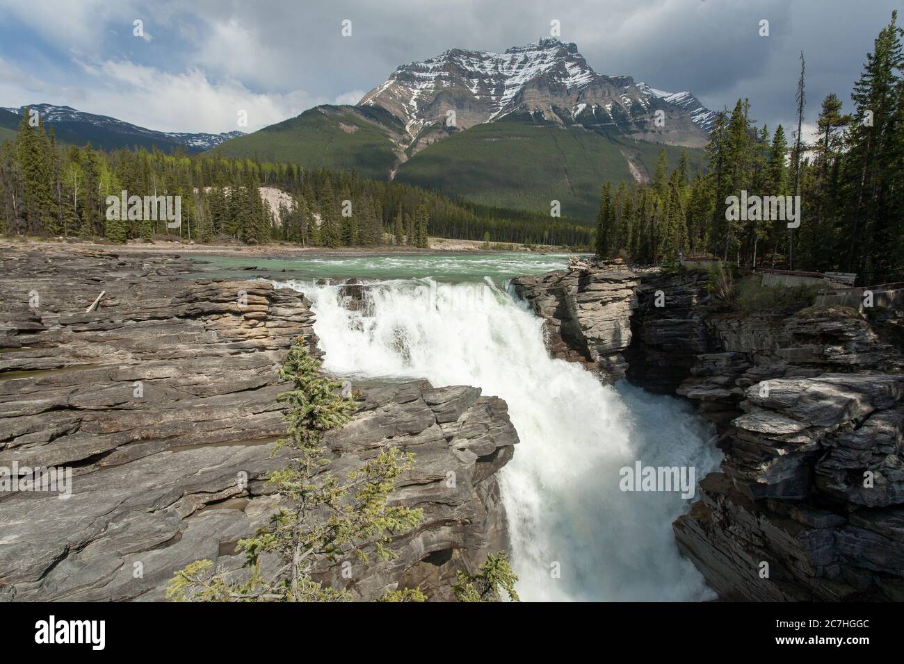 Beautiful shot of the Athabasca Falls surrounded by green trees in Alberta Canada Stock Photo